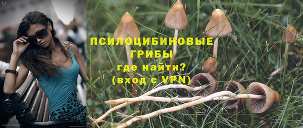 героин Алзамай