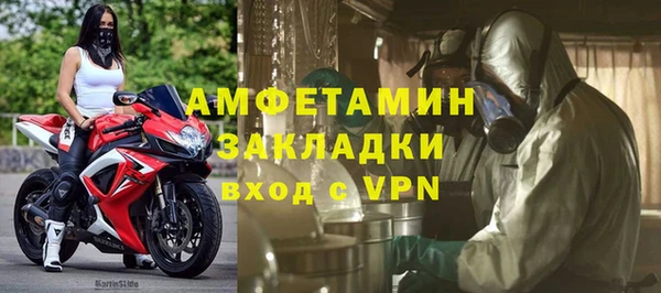 прущие грибы Алексеевка
