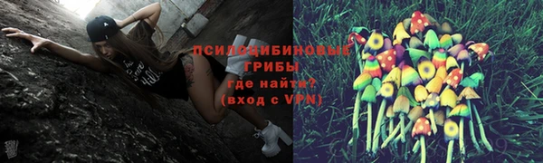 мескалин Алексин